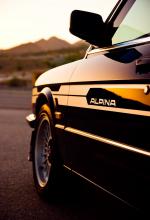 Alpina B9 3.5 1981 года (WW)